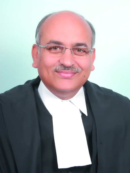 Judge